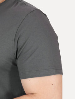 Camiseta Reserva Masculina Basic Woodpecker Chumbo