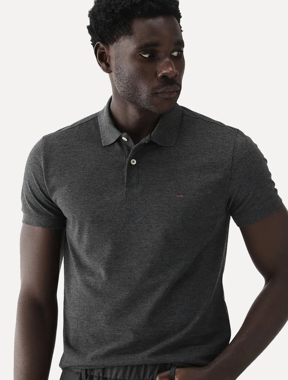 Polo Aramis Masculina Basic Piquet Grafite Mescla