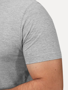 Camiseta Aramis Masculina Basic Lisa Mono Logo Cinza Mescla