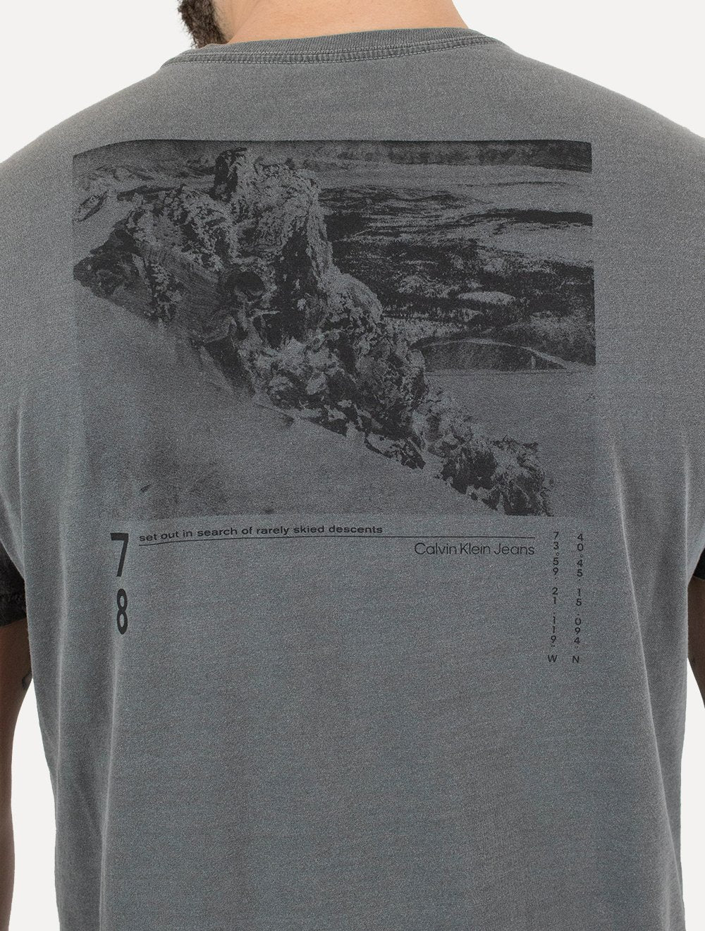 Camiseta Calvin Klein Jeans Masculina Skied Back Frame Chumbo
