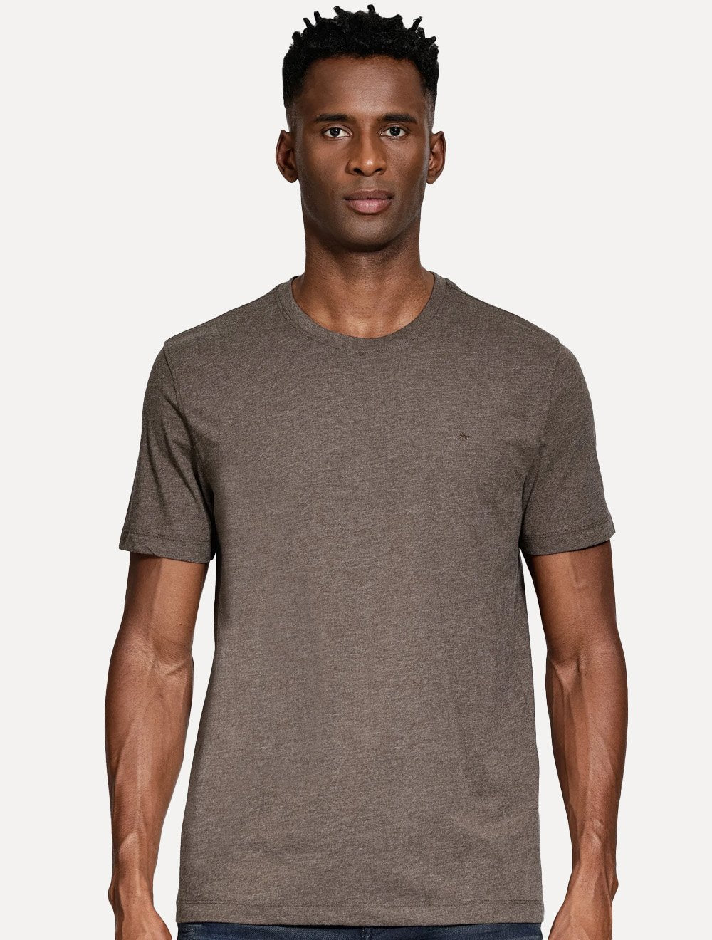 Camiseta Aramis Masculina Basic Lisa Mono Icon Marrom Claro Mescla