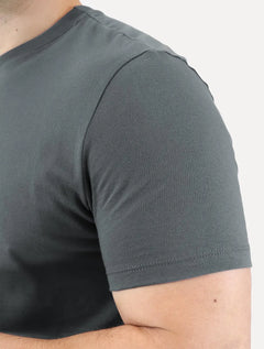 Camiseta Tommy Jeans Masculina Embroidered Signature Center Grafite