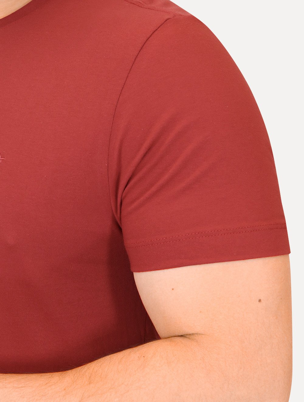 Camiseta Aramis Masculina Basic Lisa Mono Logo Vermelha