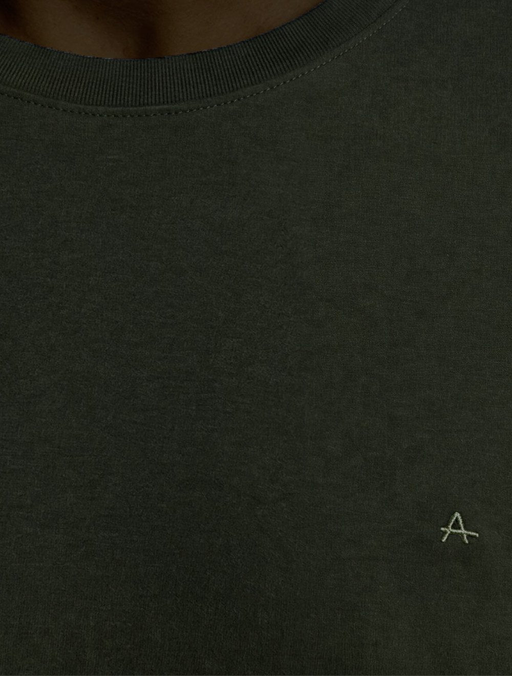 Camiseta Aramis Masculina Basic Lisa Mono Icon Verde Escuro