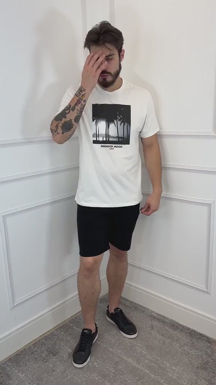 262040.mp4