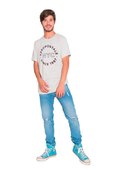 Camiseta Aeropostale Masculina Embroidered NYC Cinza Mescla