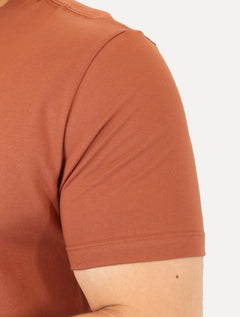 Camiseta Aramis Masculina Basic Lisa Mono Icon Terracota