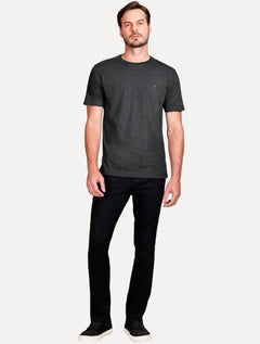 Camiseta Aramis Masculina Basic Lisa Grafite Mescla