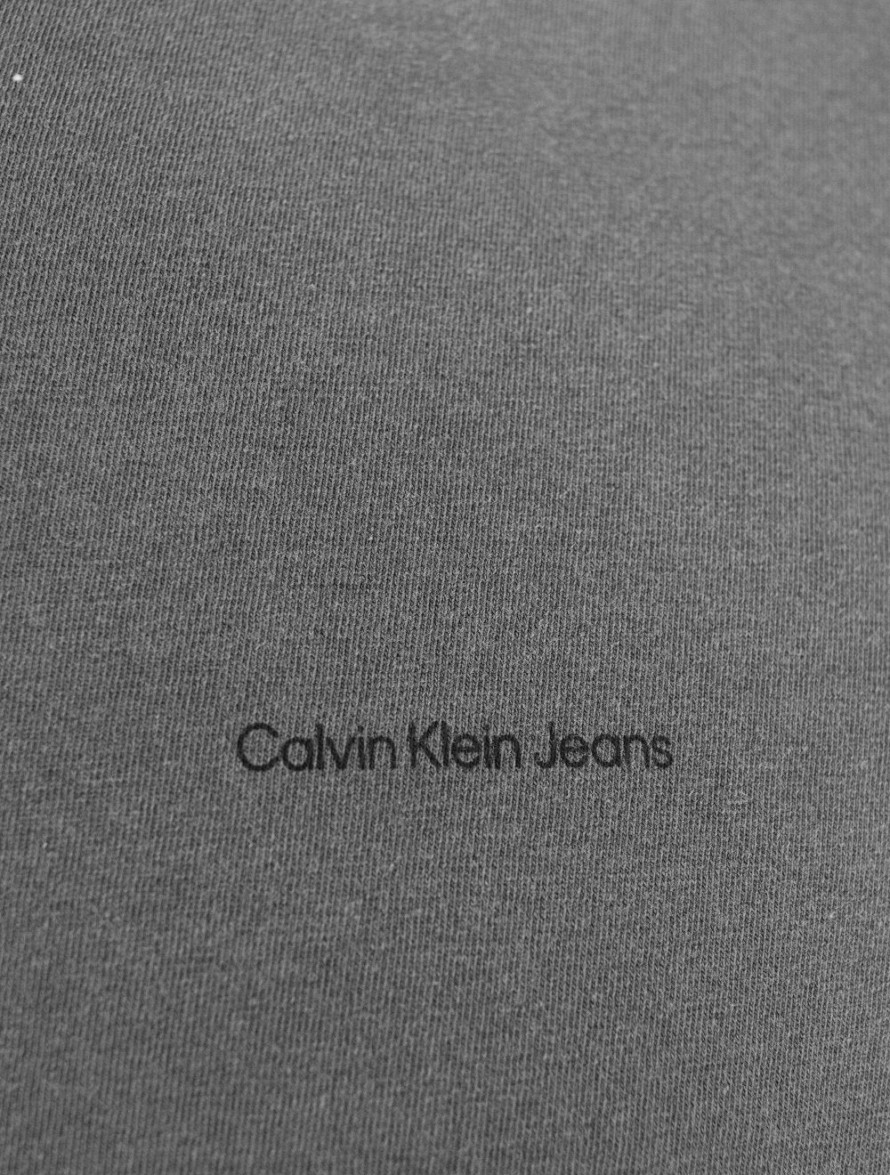 Camiseta Calvin Klein Jeans Masculina Skied Back Frame Chumbo