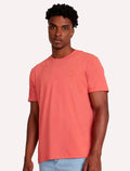 Camiseta Aramis Masculina Eco Lisa Vermelho Ocre Mescla