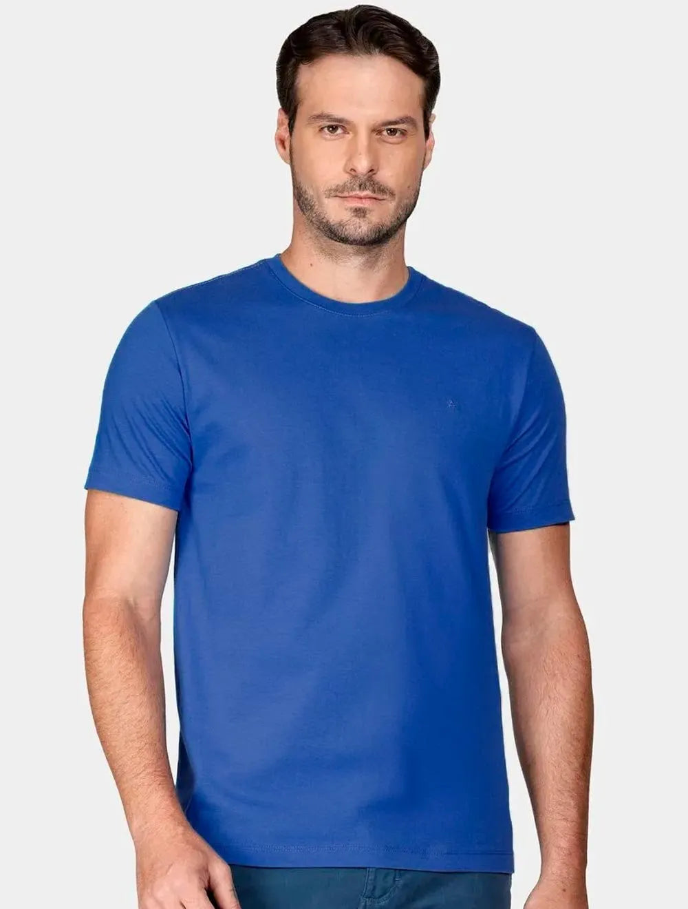 Camiseta Aramis Masculina Basic Mono Lisa Azul