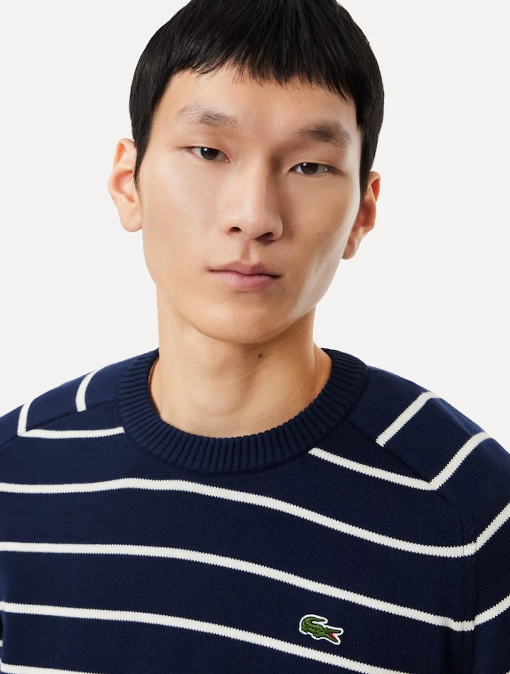 Suéter Lacoste Masculino Classic Fit Gola Redonda Listrado Azul Marinho