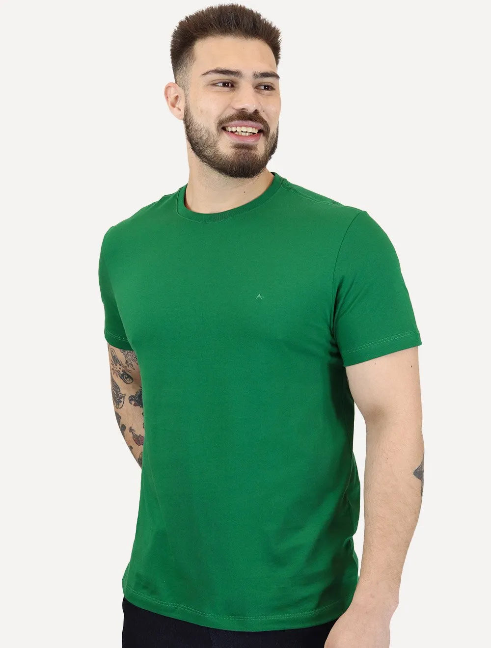 Camiseta Aramis Masculina Basic Lisa Mono Icon Verde