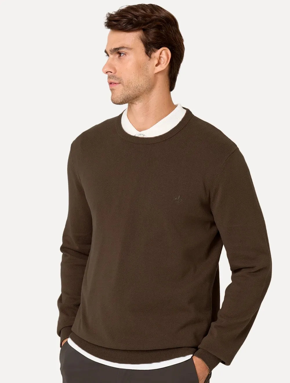 Suéter Dudalina Masculino Tricot Crewneck Basico Marrom Escuro