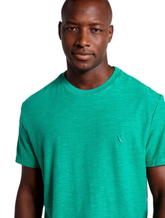 Camiseta Reserva Masculina Flamê Stone Verde Bandeira