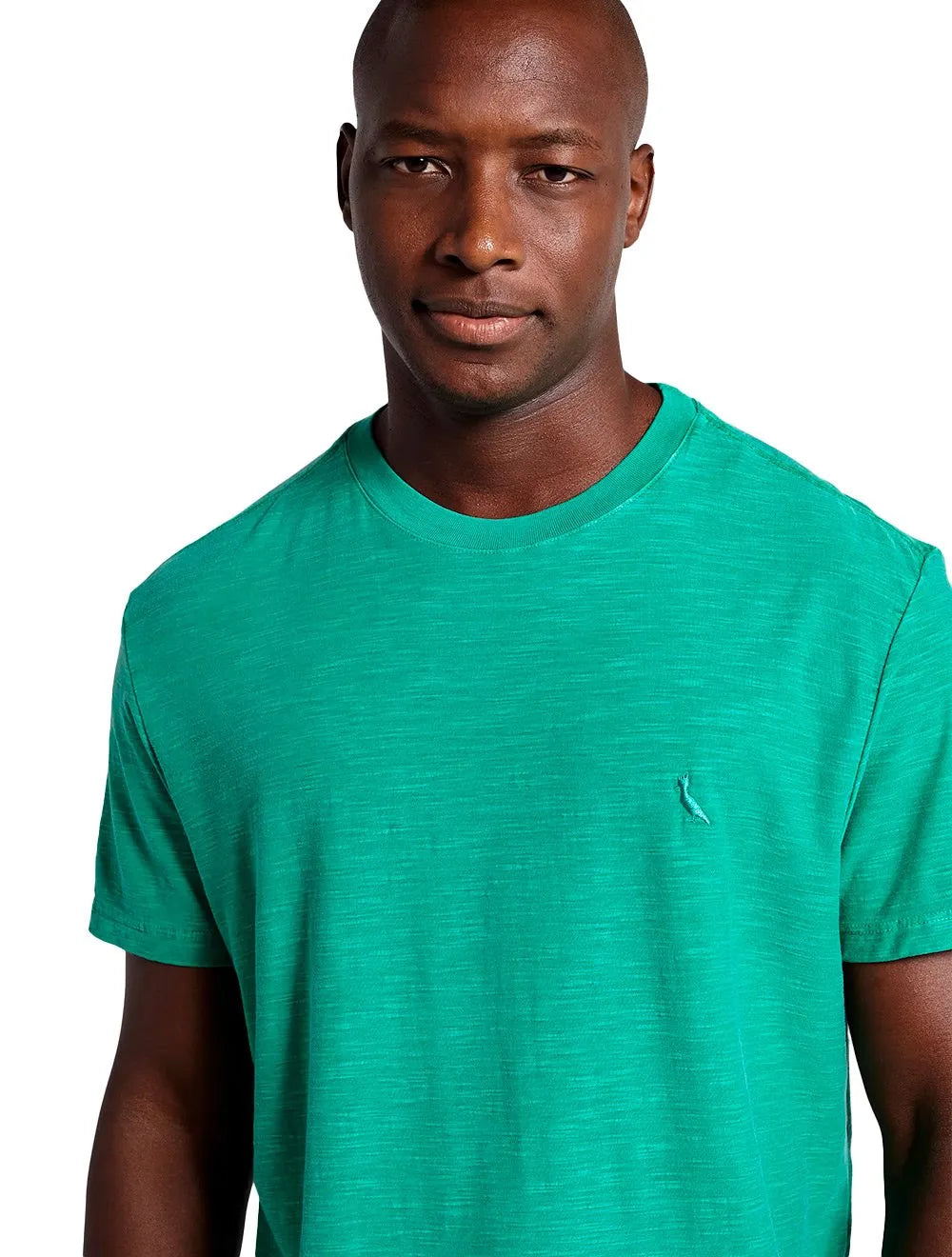 Camiseta Reserva Masculina Flamê Stone Verde Bandeira