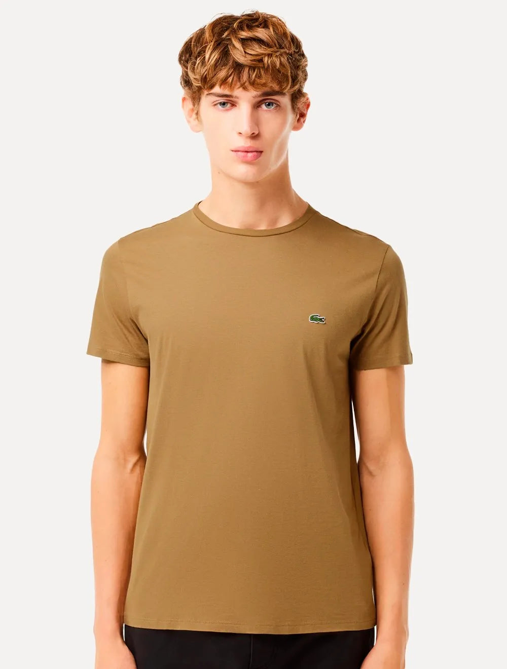 Camiseta Lacoste Masculina Jersey Pima Cotton Marrom