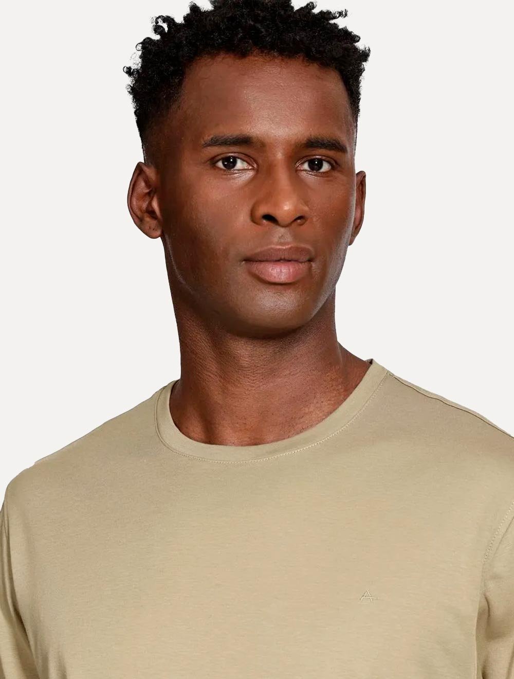 Camiseta Aramis Masculina Basic Lisa Mono Icon Caqui