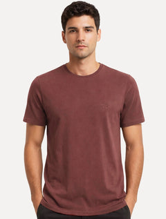 Camiseta John John Masculina Regular Fit Light Transfer Vinho