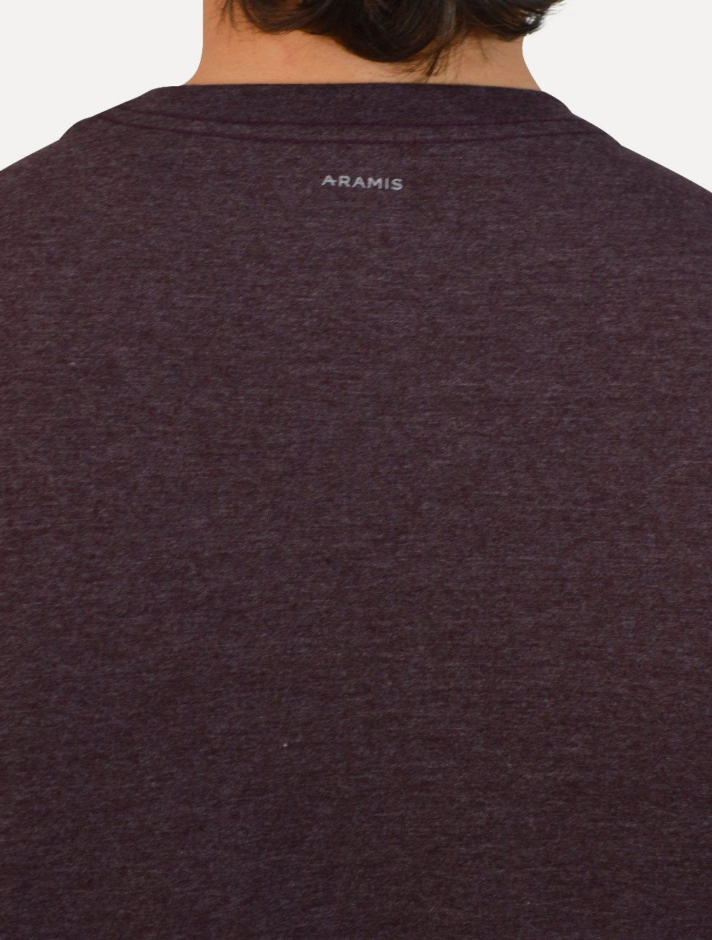 Camiseta Aramis Masculina Eco Lisa Light Icon Bordeaux Bordô Escuro