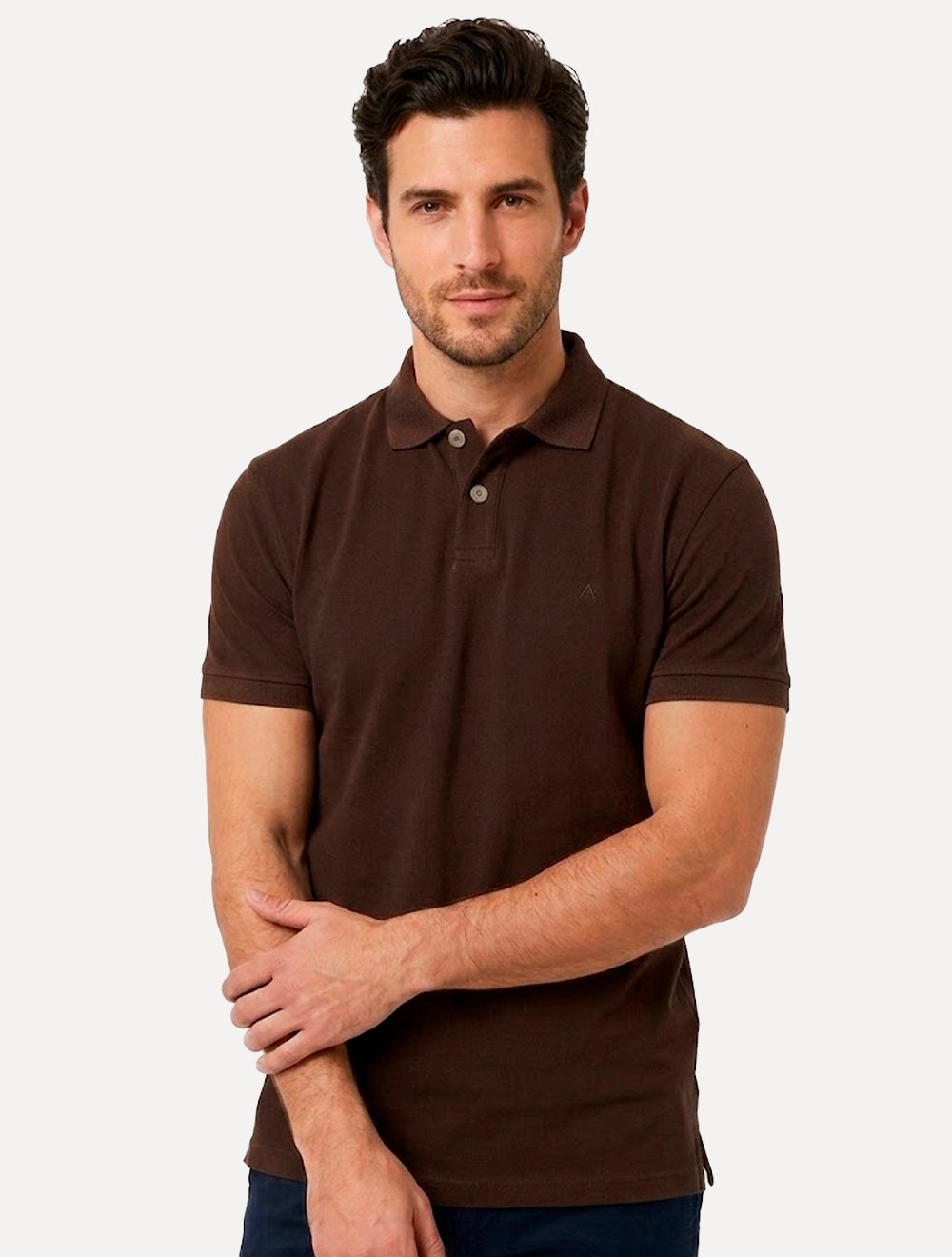 Polo Aramis Masculina Basic Piquet Mono Marrom Café