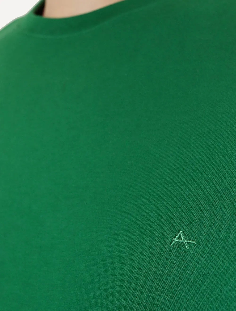 Camiseta Aramis Masculina Basic Lisa Mono Icon Verde