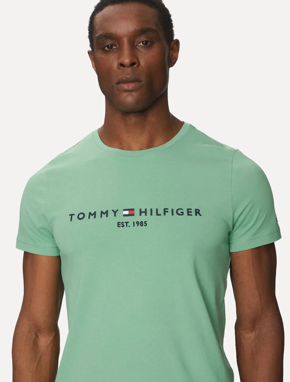 Camiseta Tommy Hilfiger Core Logo Tee Verde Menta