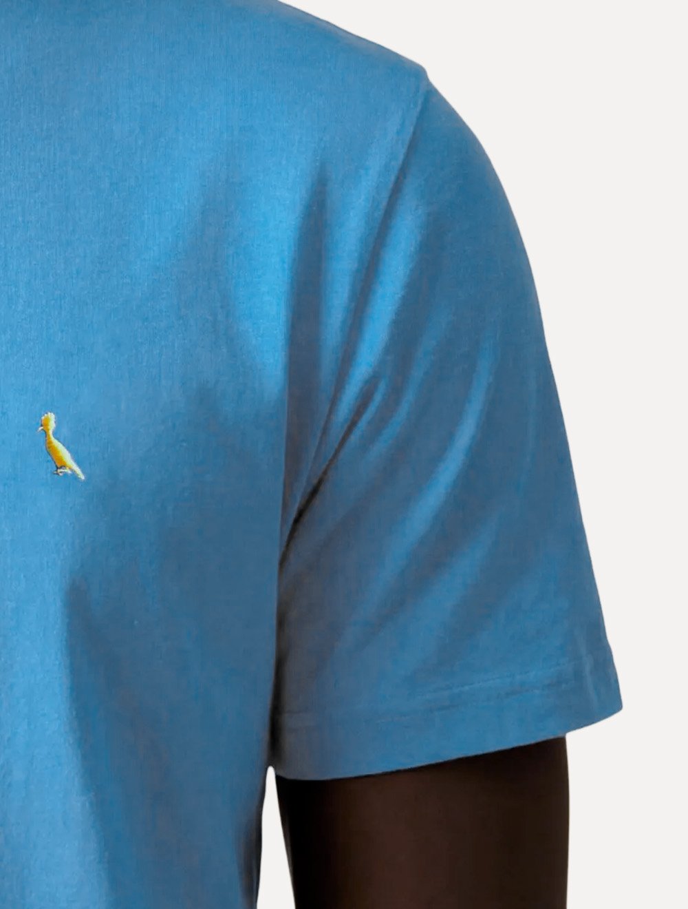 Camiseta Reserva Masculina Basic Yellow Woodpecker Stoned Azul