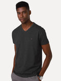 Camiseta Aramis Masculina Basic V-Neck Grafite Mescla