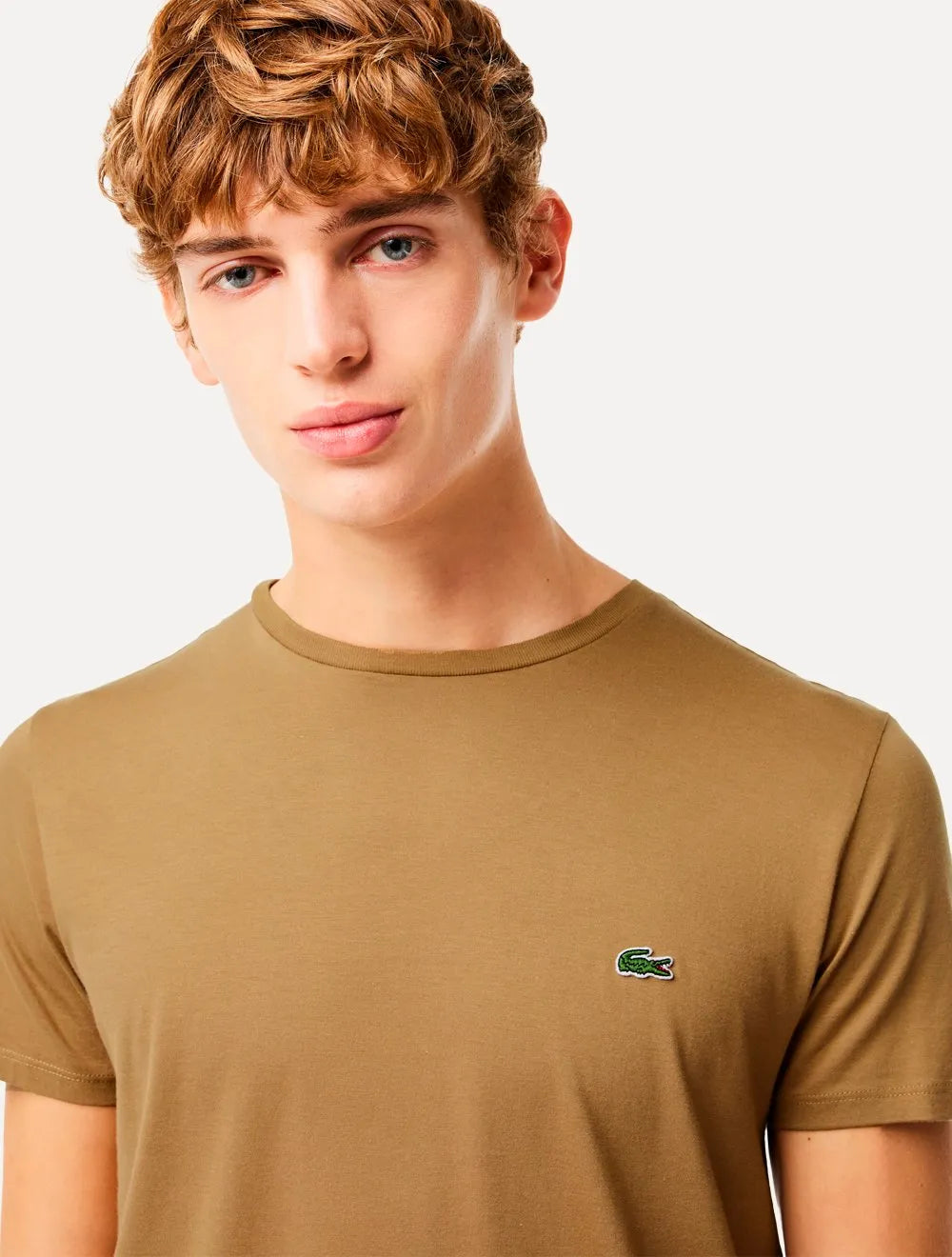 Camiseta Lacoste Masculina Jersey Pima Cotton Marrom