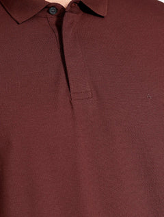 Polo Aramis Masculina Piquet Colorfix Bordeaux Bordô