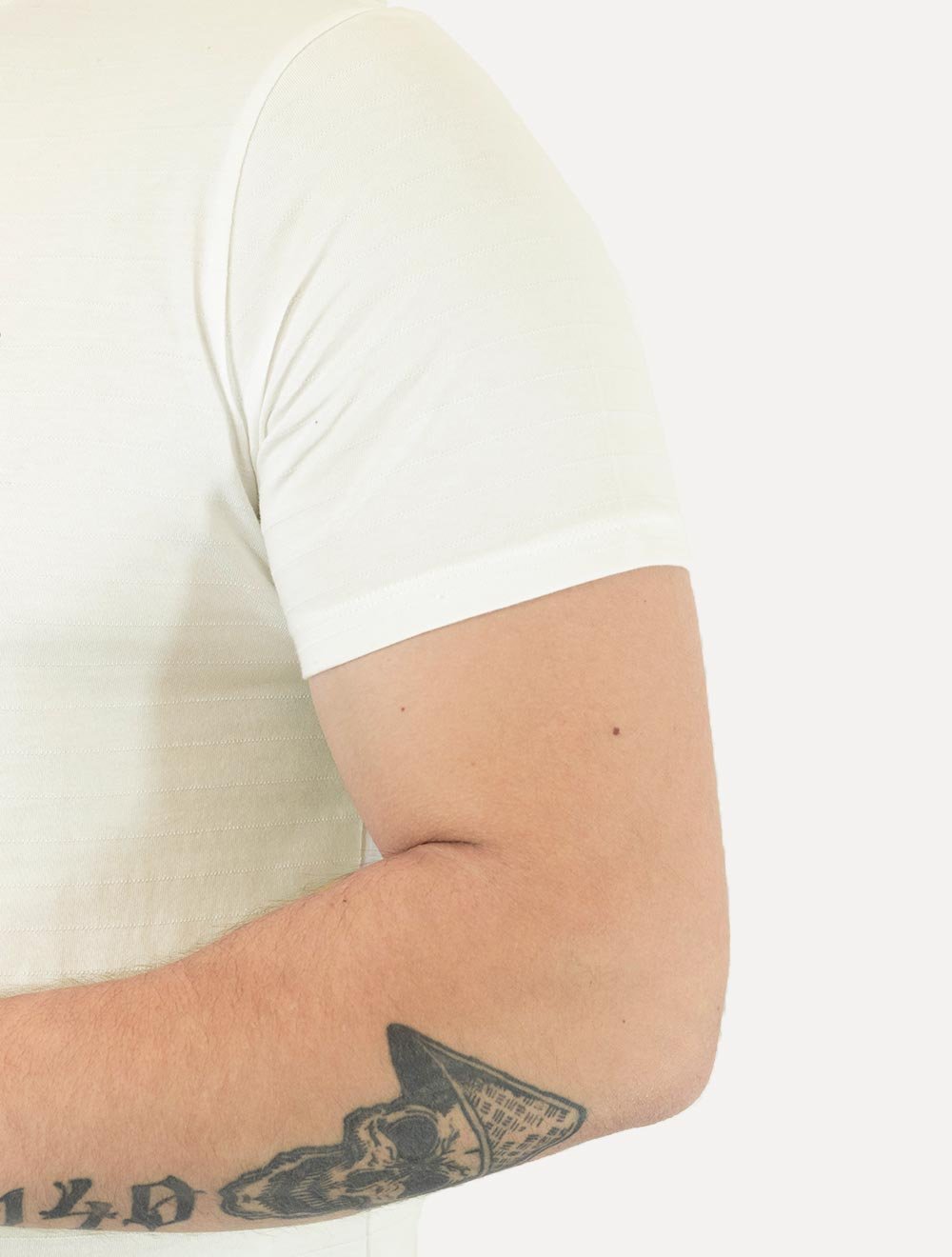 Camiseta Levis Classic SS Original Housemark Lines Off-White
