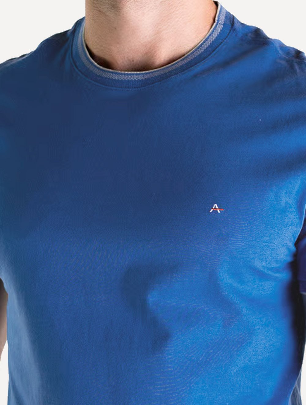 Camiseta Aramis Masculina Grey Friso Gola Azul Royal