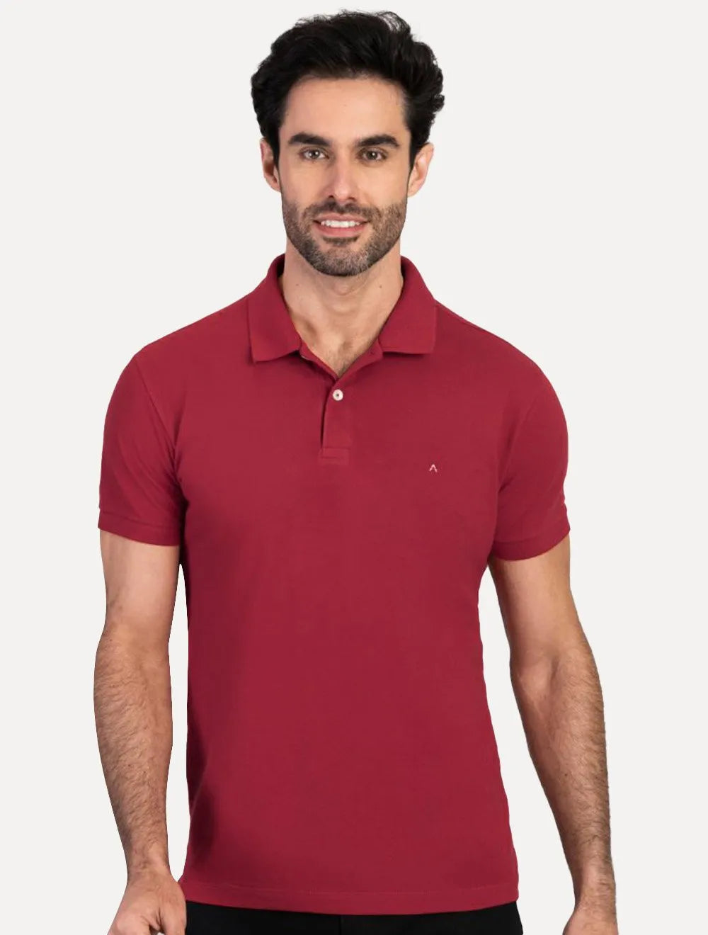 Polo Aramis Masculina Basic Piquet Bordô