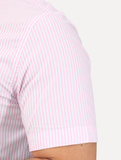 Camisa Tommy Hilfiger Masculina Manga Curta Regular Listrada Oxford Rosa Médio