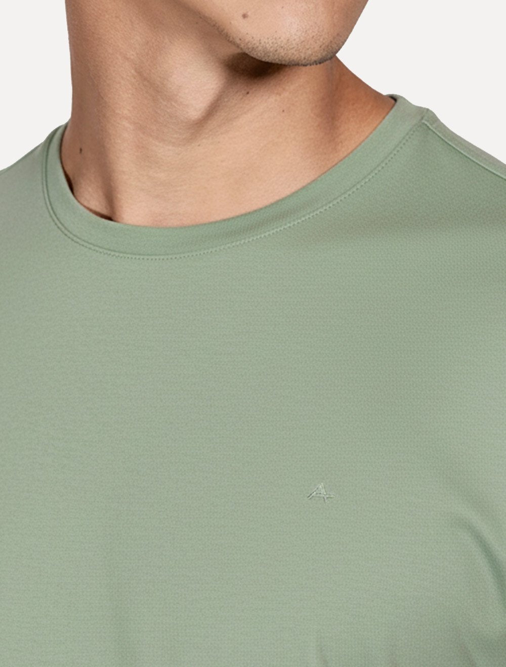 Camiseta Aramis Masculina Basic Lisa Mono Icon Verde Menta