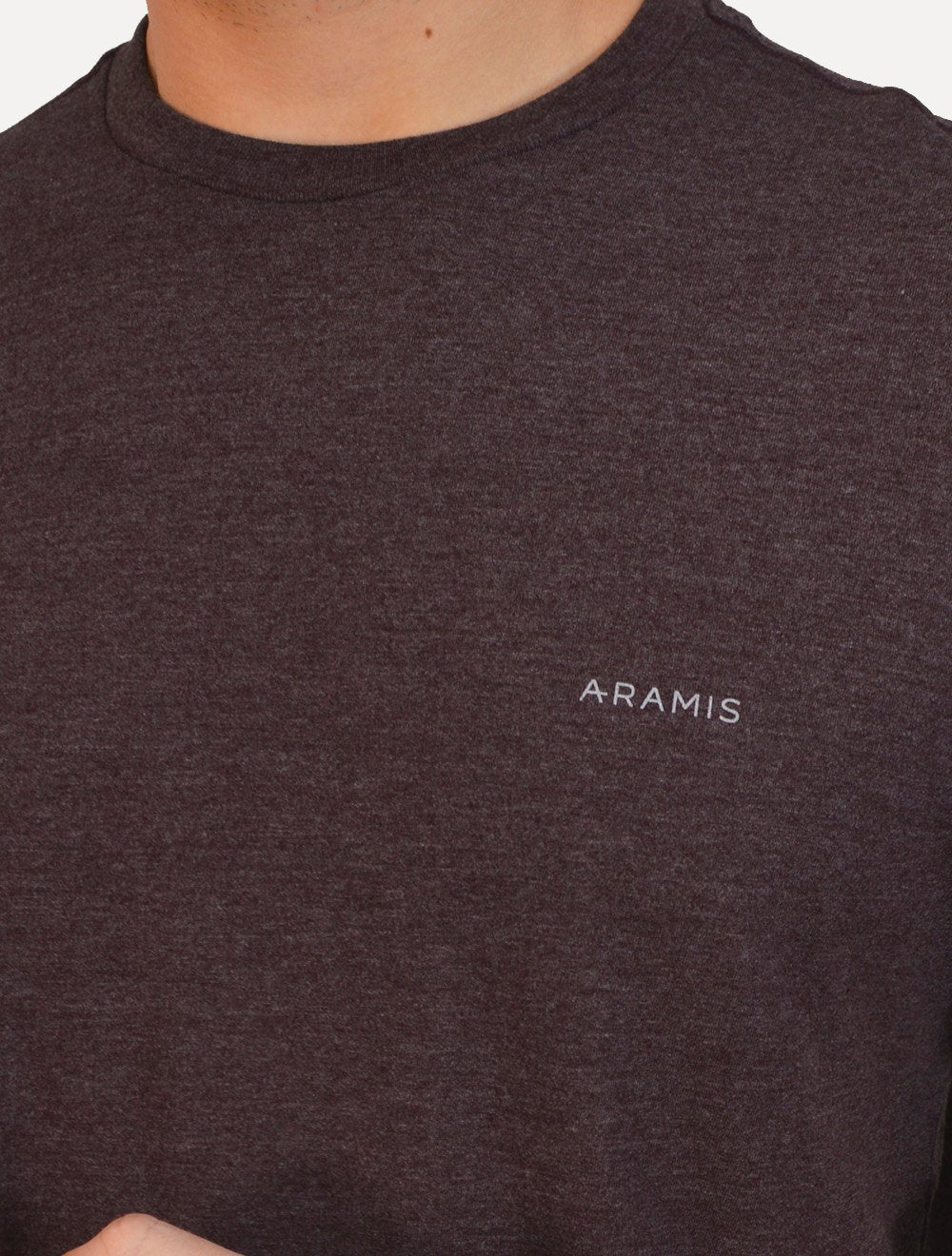 Camiseta Aramis Masculina Eco Lisa Light Icon Bordeaux Bordô Escuro