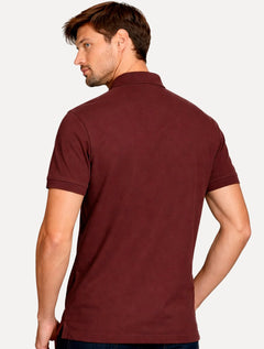 Polo Aramis Masculina Piquet Colorfix Bordeaux Bordô