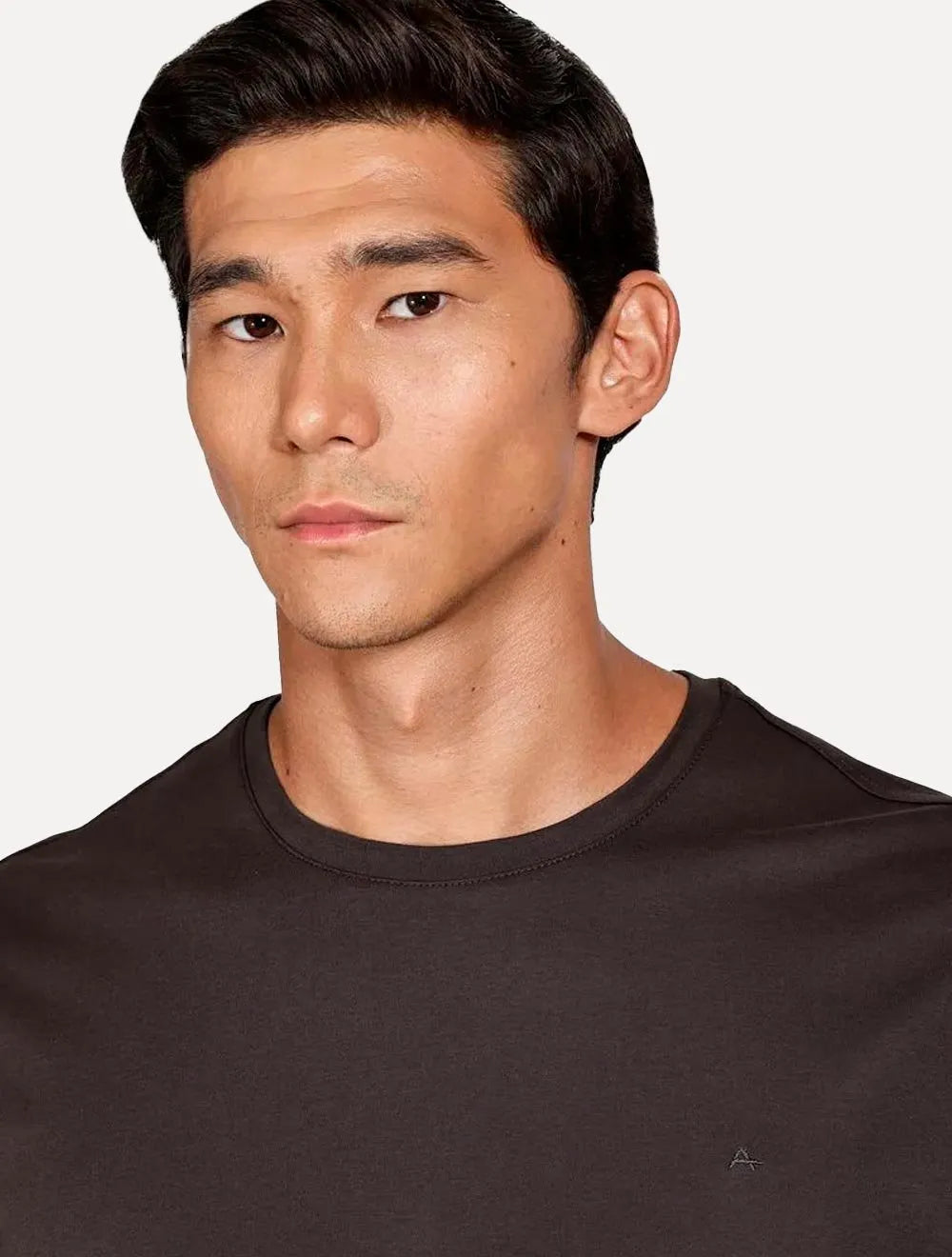 Camiseta Aramis Masculina Basic Lisa Mono Icon Marrom Escuro