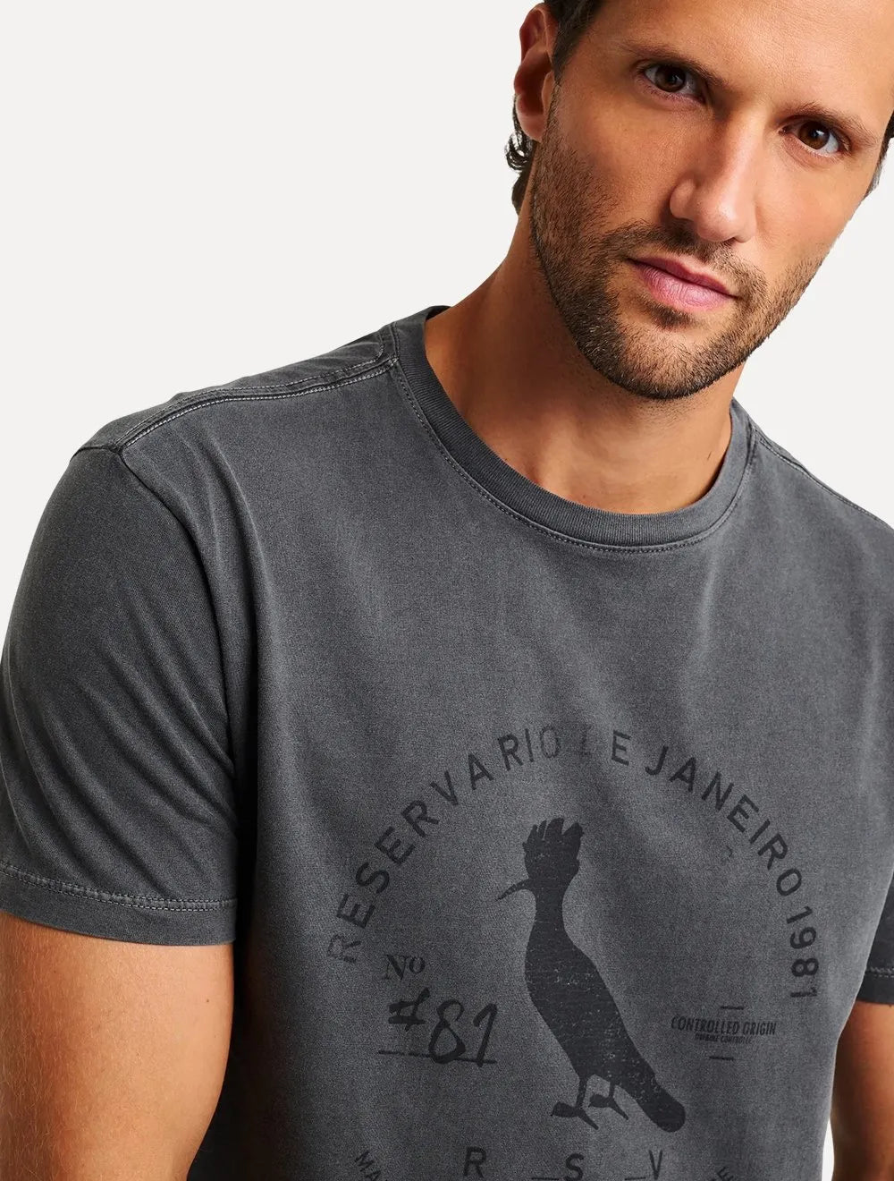 Camiseta Reserva Masculina Carimbo Gaze Stoned Chumbo