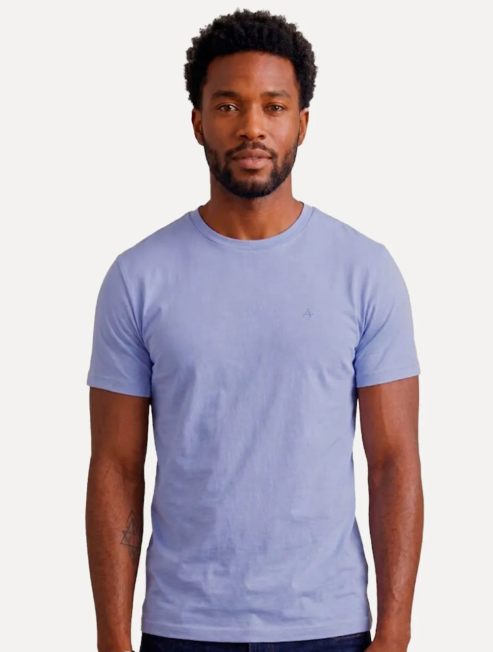 Camiseta Aramis Masculina Basic Lisa Mono Icon Chumbo Claro